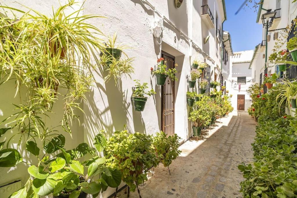 Priego de Córdoba Casa Con Patio Y Terraza En Barrio Historico De La Villa, Junto Al Adarve מראה חיצוני תמונה