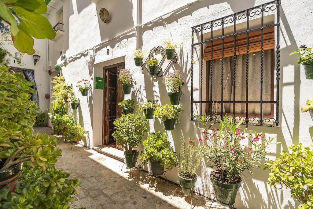 Priego de Córdoba Casa Con Patio Y Terraza En Barrio Historico De La Villa, Junto Al Adarve מראה חיצוני תמונה